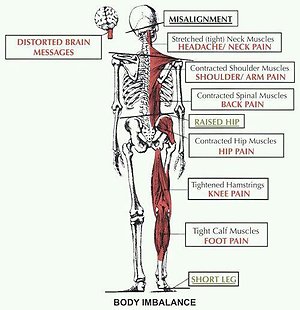 What to expect?. Body Inbalances