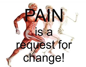 Blogs. Pain is a request to change