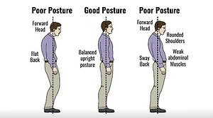 Blogs. Posture